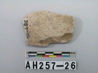 藏品(磨製石器殘件)的圖片